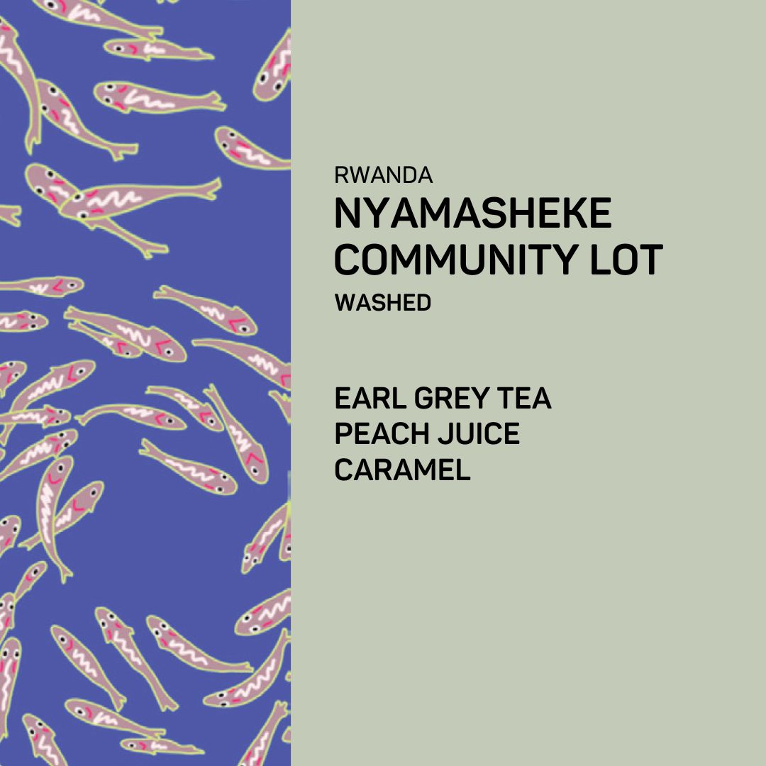 Rwanda Nyamasheke Community lot