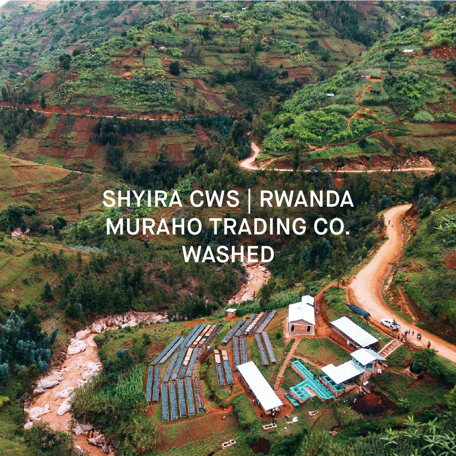 single origin specialty coffee
