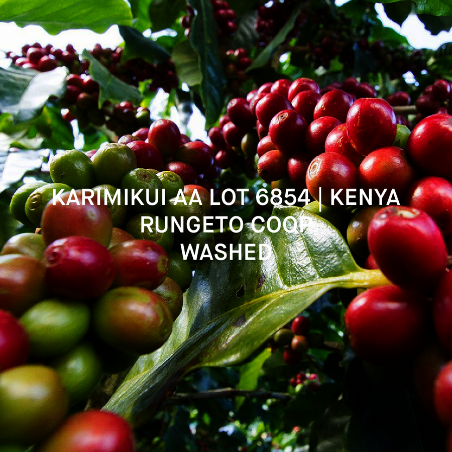 KARIMIKUI AA LOT 6854