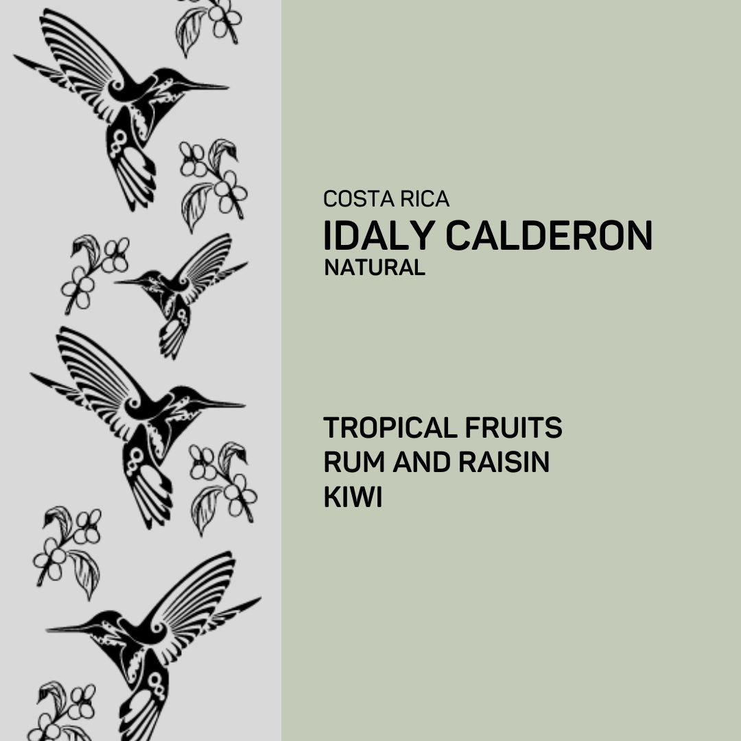 Costa Rica Idaly Calderon Natural