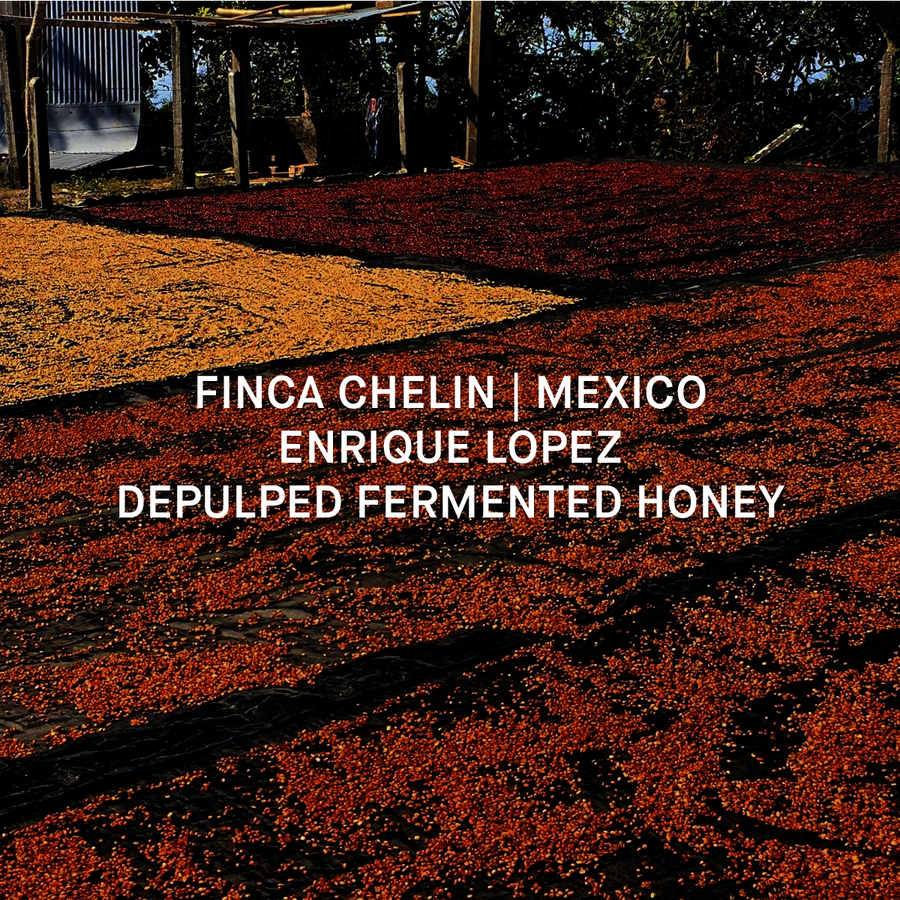 FINCA CHELIN LOT 863-7