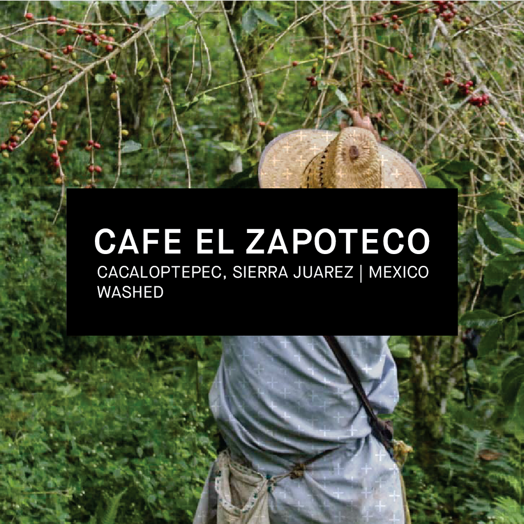 CAFE EL ZAPOTECO | MEXICO