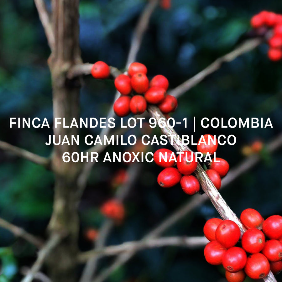 FINCA FLANDES LOT 960-1