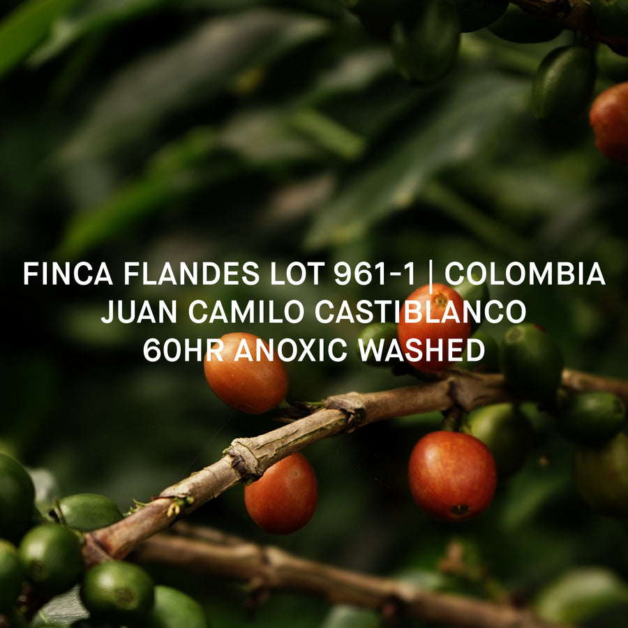 FINCA FLANDES LOT 961-1