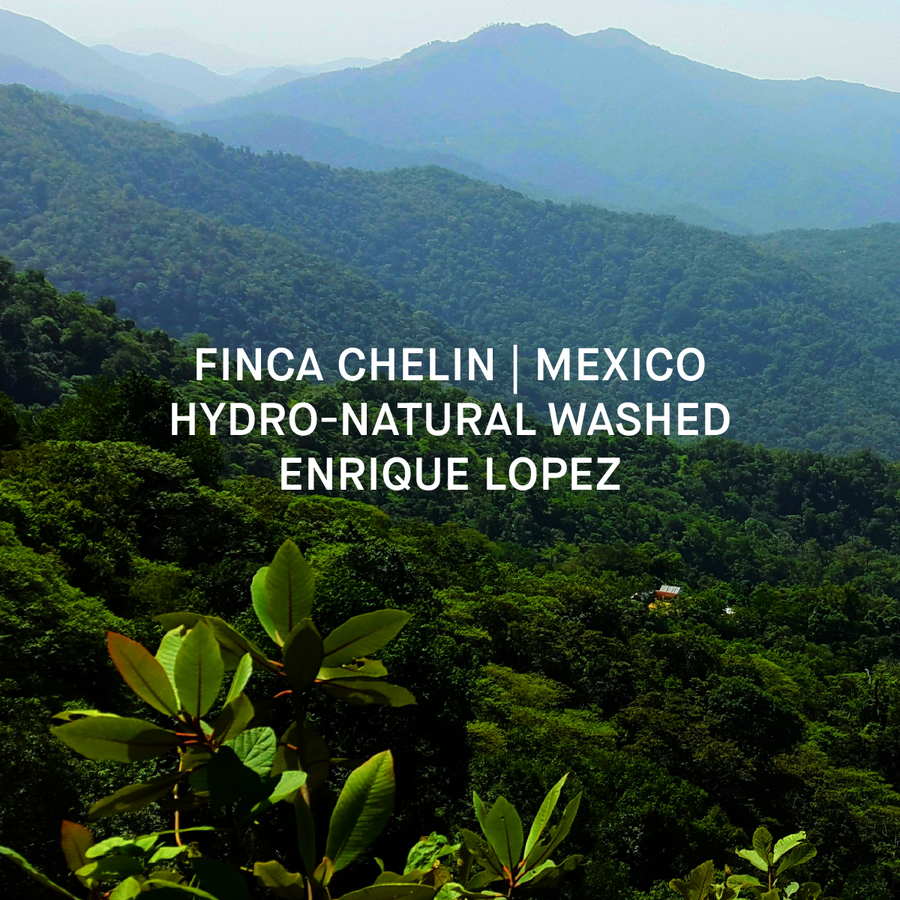 FINCA CHELIN