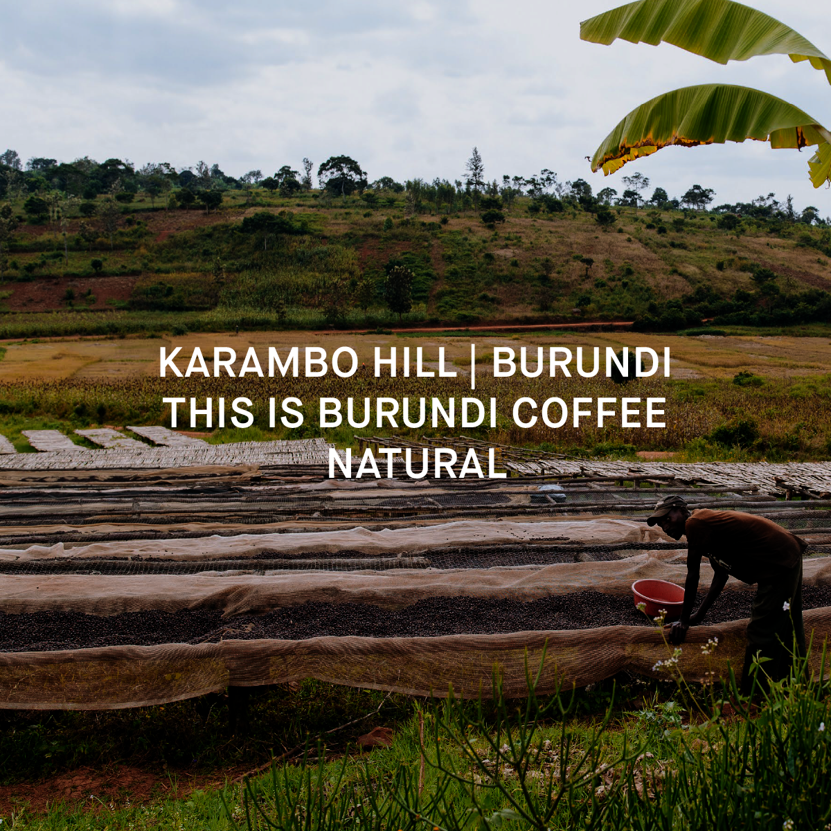 KARAMBO HILL CWS | BURUNDI