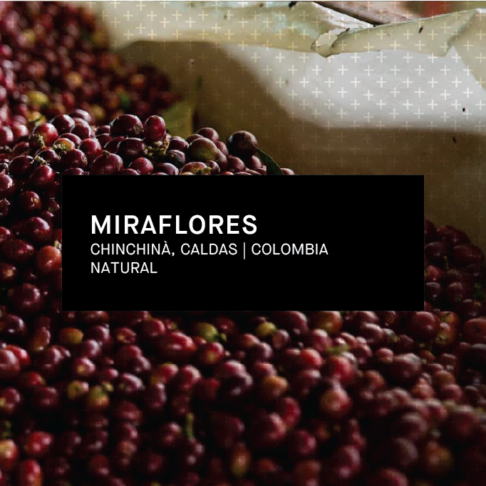 MIRAFLORES | COLOMBIA