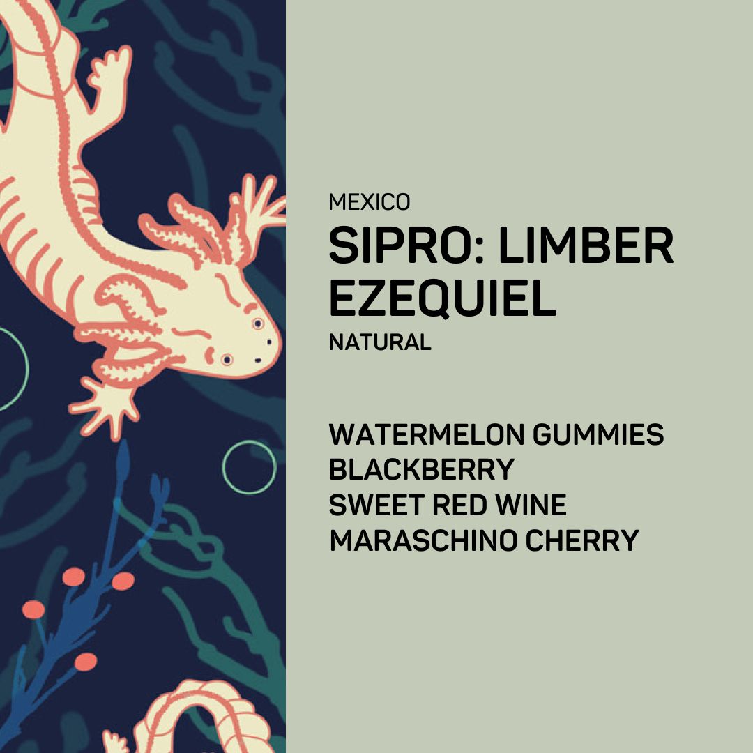 Mexico SIPRO Limber Ezequiel Natural