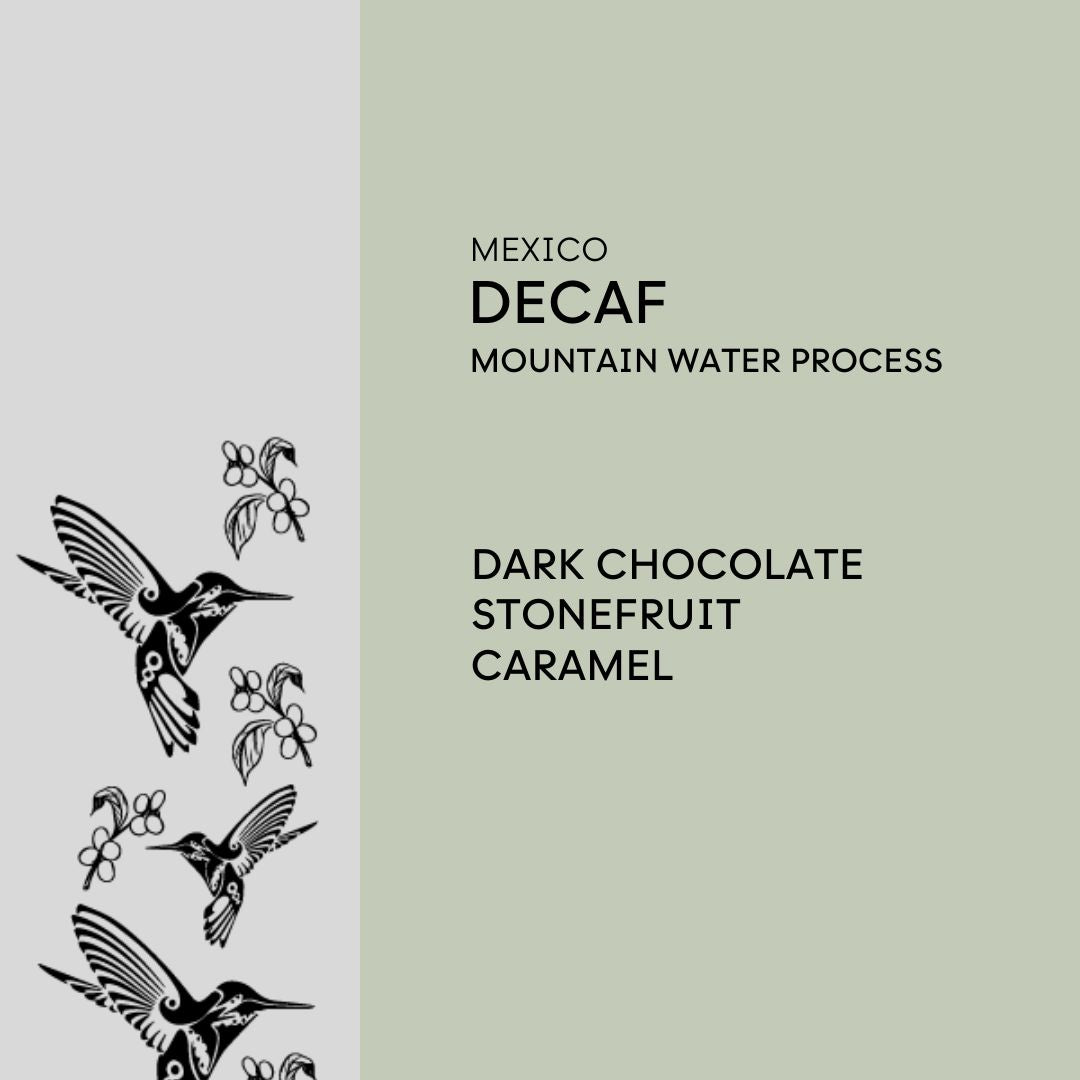 Mexican Prime Decaf, Swiss Mountain Water Process