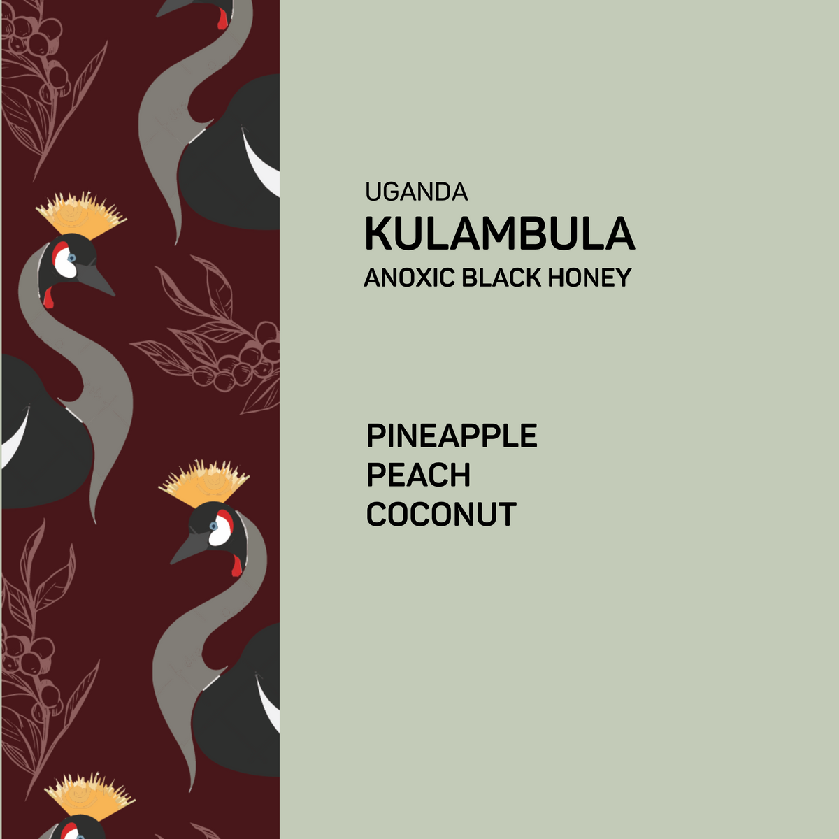 Uganda Kulambula Anoxic Honey