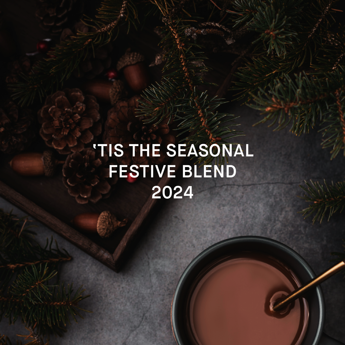 specialty coffee blend