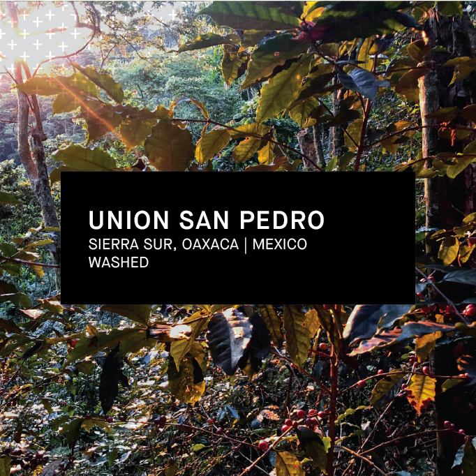 UNION SAN PEDRO | MEXICO