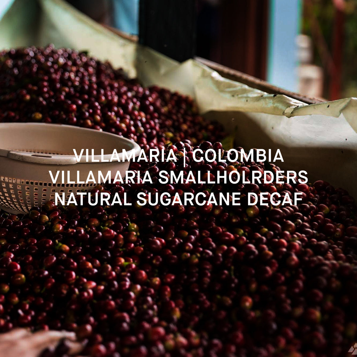 VILLAMARIA DECAF | COLOMBIA