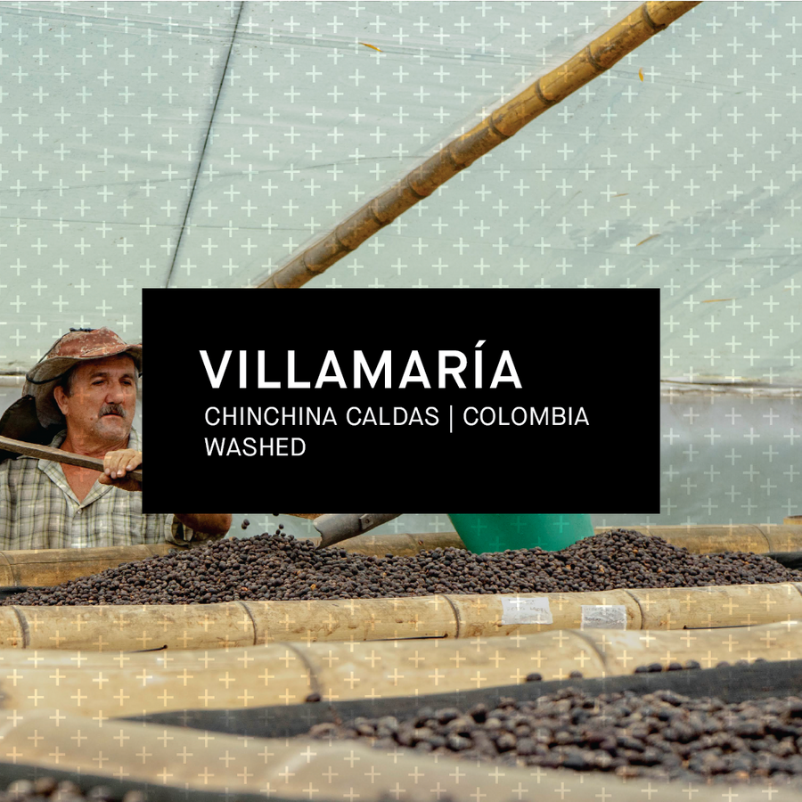 VILLAMARIA